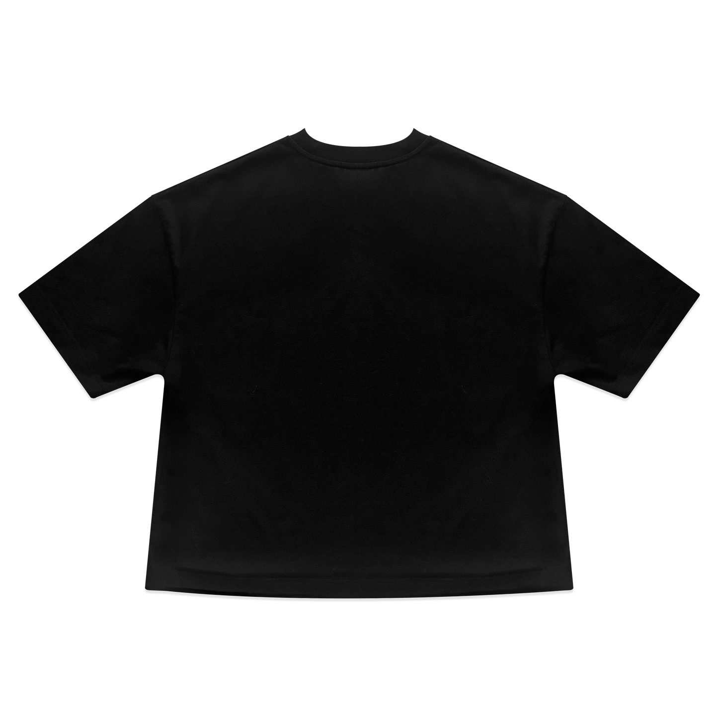 BLANK T-SHIRT IN BLACK